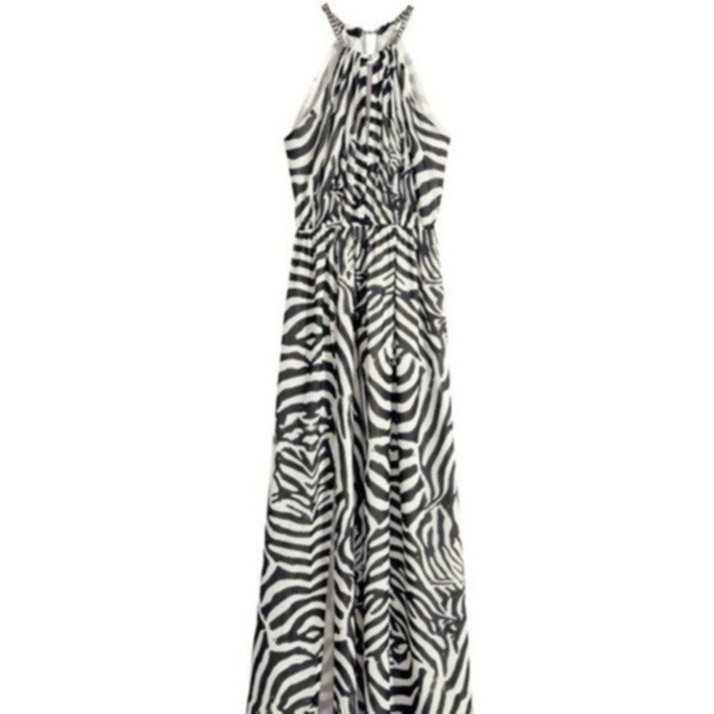 H&M Zebra Dress